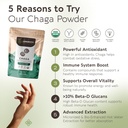 longevity-botanicals-organic-chaga-mushr-2.jpg