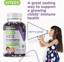viteey-sambucus-elderberry-gummies-for-k-6.jpg