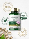 carlyle-hydrangea-root-capsules-1000mg-1-5.jpg
