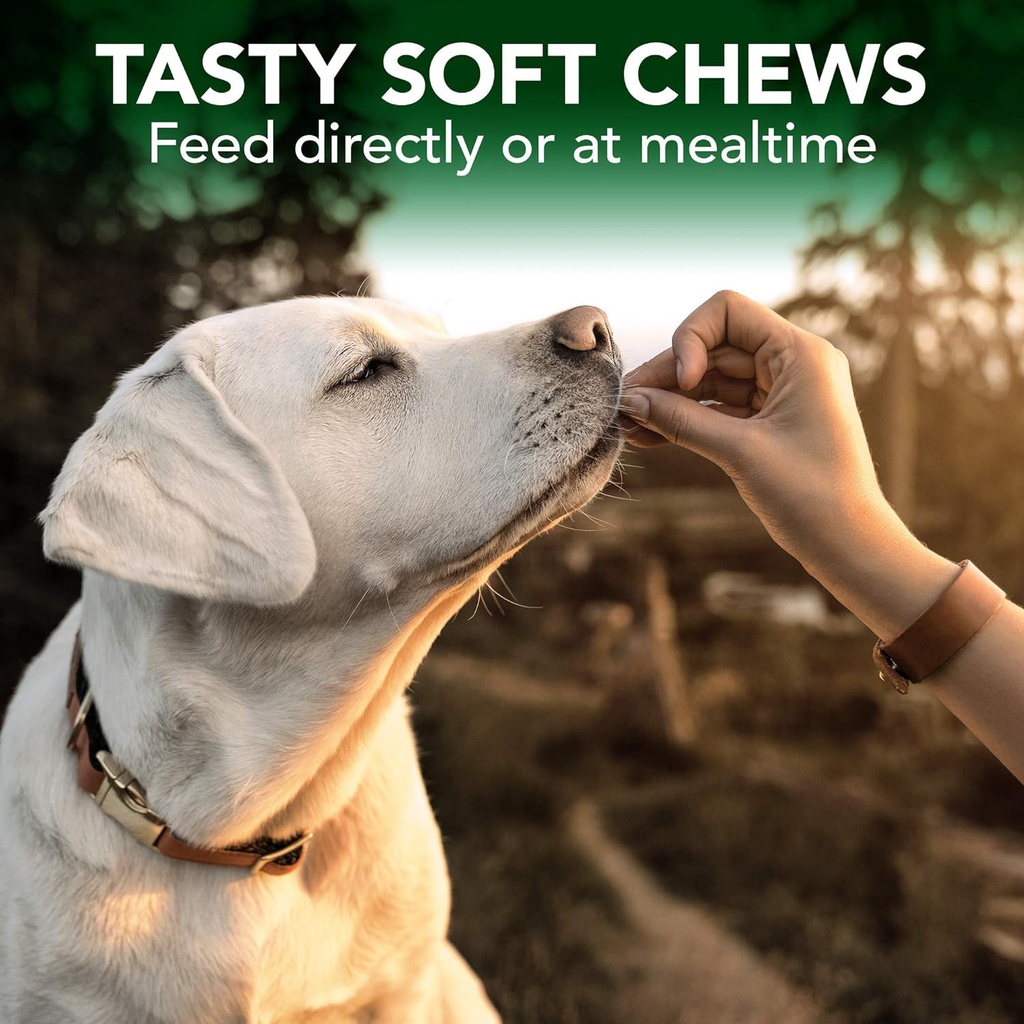 vets-best-seasonal-allergy-soft-chew-dog-4.jpg