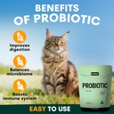 probiotic-for-cats-kittens---cat-probiot-2.jpg