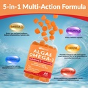 vegan-omega-3-gummies-algae-omega-3-supp-3.jpg