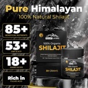 pure-shilajit-resin-with-fulvic-acid---h-3.jpg