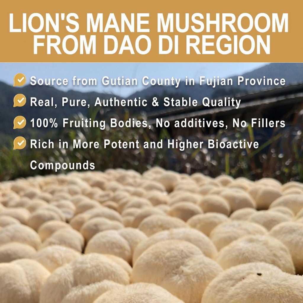 lions-mane-mushroom-powder-real-fruiting-3.jpg