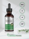 horbaach-goldenseal-root-tincture-1-fl-o-5.jpg