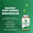 3-packs-organic-hemp-gummies-7500000-hig-3.jpg