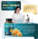 premium-sea-moss-with-ashwagandha-burdoc-3.jpg