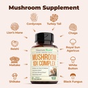 potent-mushroom-complex-with-turkey-tail-5.jpg