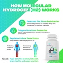 essential-h2-fizzy-molecular-hydrogen-ta-4.jpg