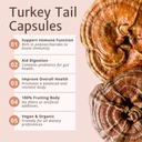magic-dozeTM-turkey-tail-mushroom-capsul-3.jpg