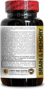 brain-memory-support---memory-function-s-4.jpg
