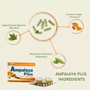 ampalaya-plus-550mg-90-capsules---pack-o-2.jpg