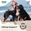 forever-puppy-kidney-support-drops-for-d-2.jpg