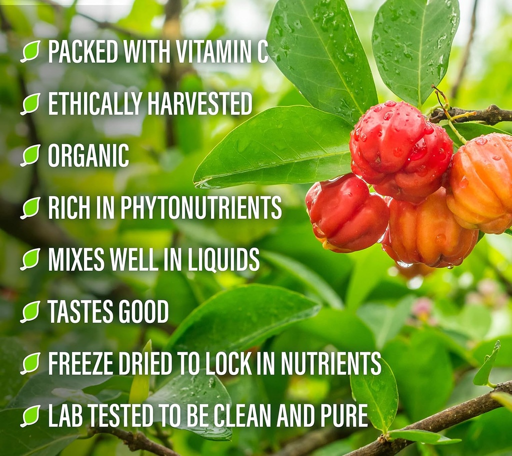 perfect-supplements-perfect-acerola-powd-5.jpg