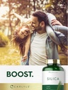 carlyle-silica-supplement-capsules-200-c-6.jpg