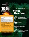 herb-pharm-stone-breaker-chanca-piedra-c-2.jpg