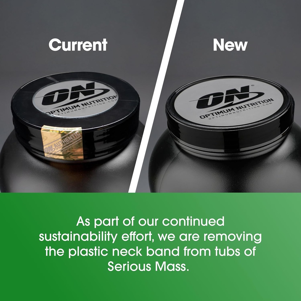 optimum-nutrition-serious-mass-weight-ga-5.jpg