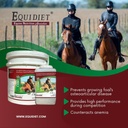 cvm---horse-vitamins---vitamin-e-supplem-5.jpg