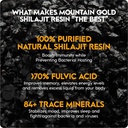 shilajit-resin-shilajit-natural-himalaya-4.jpg