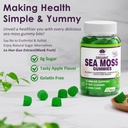 2-pack-sea-moss-gummies---irish-sea-moss-6.jpg