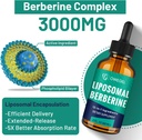 liposomal-berberine-hcl-liquid-drops-adv-3.jpg