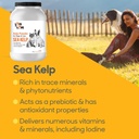 organic-sea-kelp-powder-7-pounds-32-kg-i-6.jpg