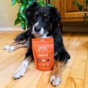 hemp-well-immune---allergy-support-dog-s-6.jpg