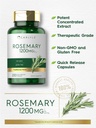 carlyle-rosemary-capsules-1200mg-200-cou-3.jpg