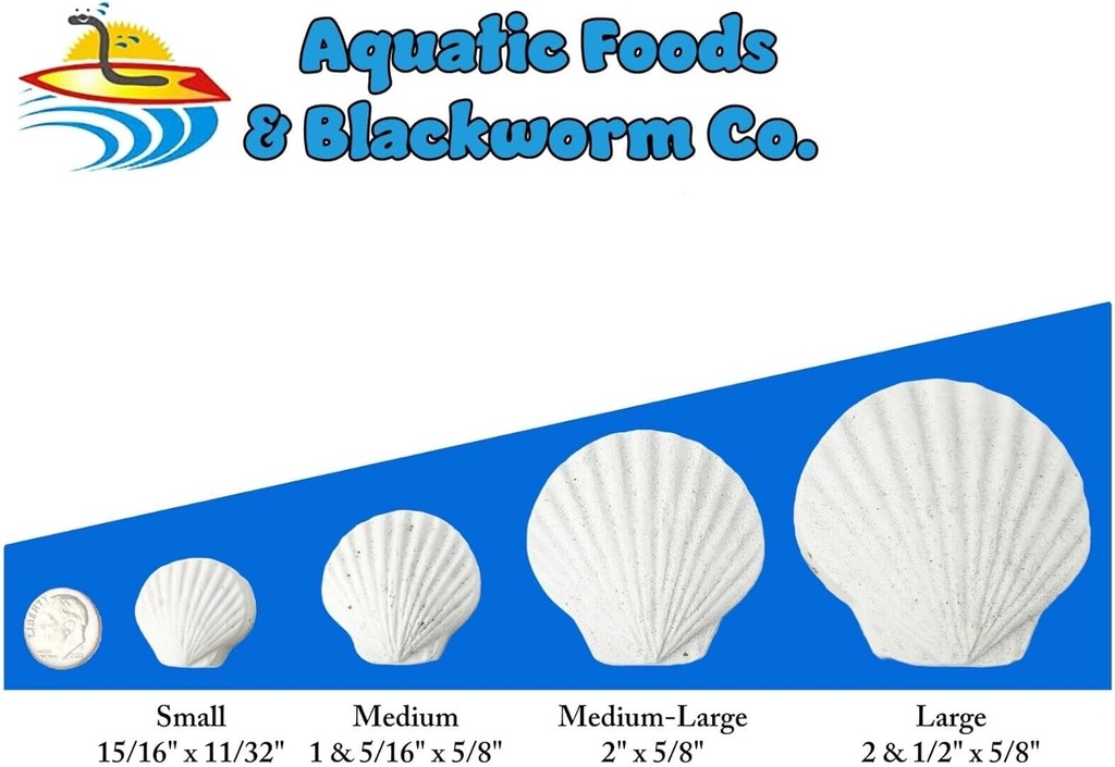 aquatic-foods-inc-calcium-feeder-medium--3.jpg