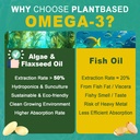 vegan-omega-3-dha-epa-ala-supplement-wit-6.jpg