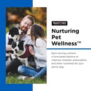 nutri-vet-senior-vite-multivitamin-dog-s-3.jpg
