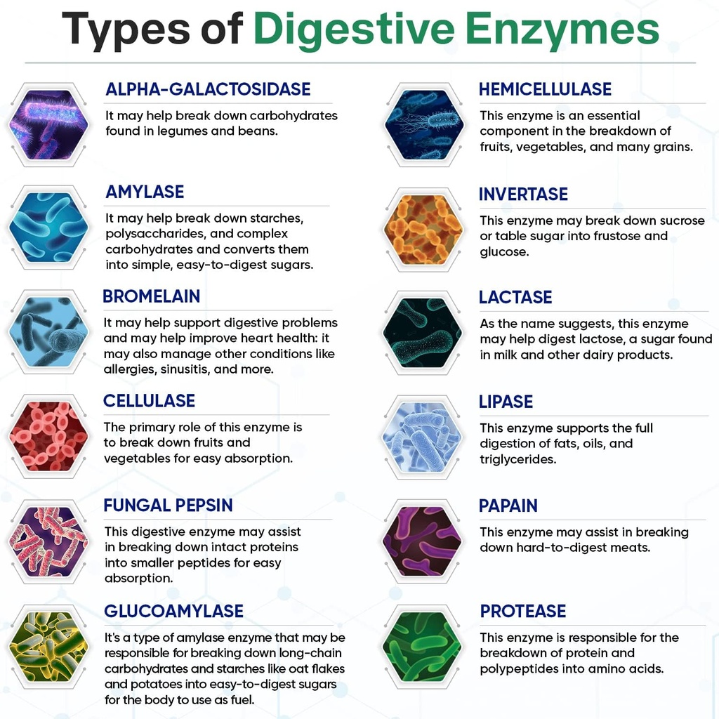 wholesome-wellness-digestive-enzymes-100-4.jpg