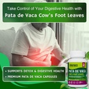 hanan-pata-de-vaca-100-capsules-supports-5.jpg