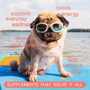 21-in-1-dog-vitamins-and-supplements-wit-4.jpg