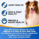 omega-3-fish-oil-for-dogs-omega-3-fish-o-4.jpg