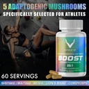 boost-adaptogenic-mushroom-blend-60-serv-5.jpg