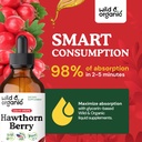 wild-organic-hawthorn-berry-tincture-600-4.jpg