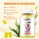 calcium-magnesium-gummies-adults-kids----6.jpg