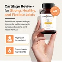 upwellness-cartilage-revive-joint-suppor-3.jpg