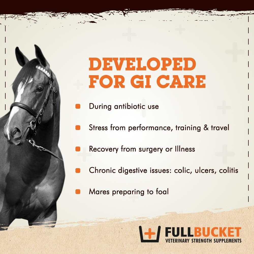 fullbucket-health-equine-probiotic-pelle-2.jpg