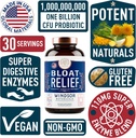 bloat-relief-probiotic-and-digestive-enz-2.jpg
