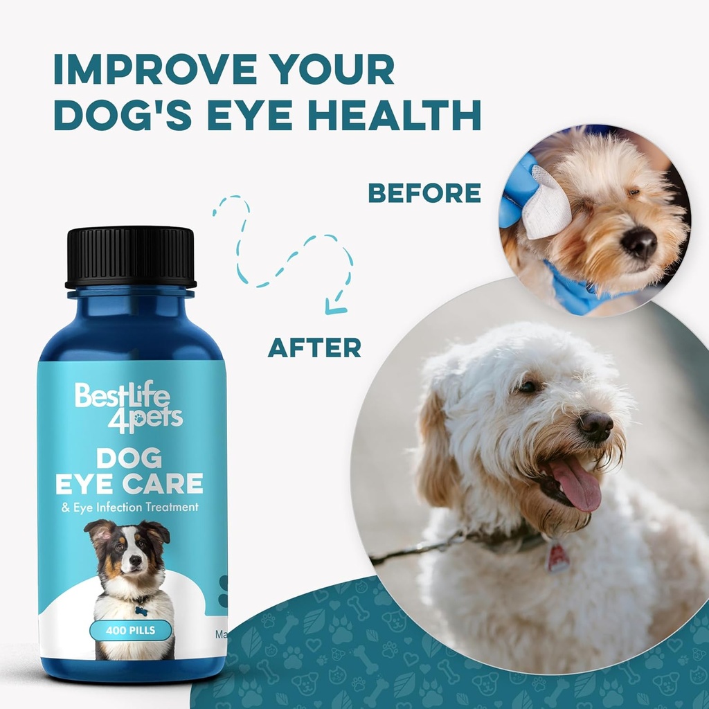 dog-eye-infection-eye-care-support-suppl-4.jpg