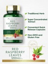 carlyle-red-raspberry-leaf-capsules-1200-3.jpg