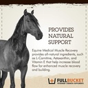 fullbucket-equine-medical-muscle-recover-3.jpg