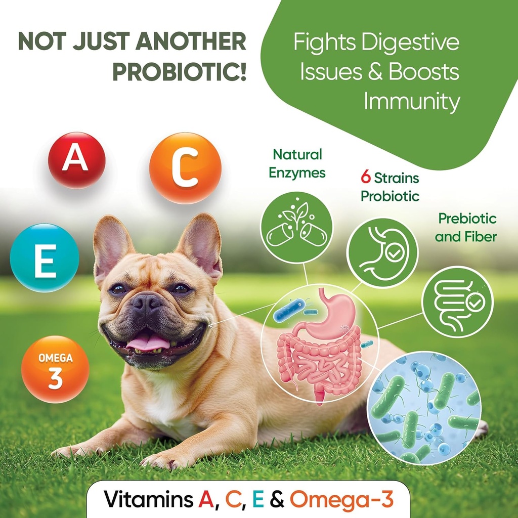 probiotics-for-dogs---digestive-enzymes--2.jpg