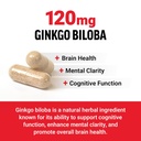force-factor-ginkgo-biloba-120mg-brain-h-2.jpg