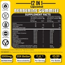 12-in-1-berberine-hcl-gummies-high-bioav-2.jpg