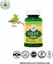organic-giloy-guduchi-powder-herbal-caps-3.jpg