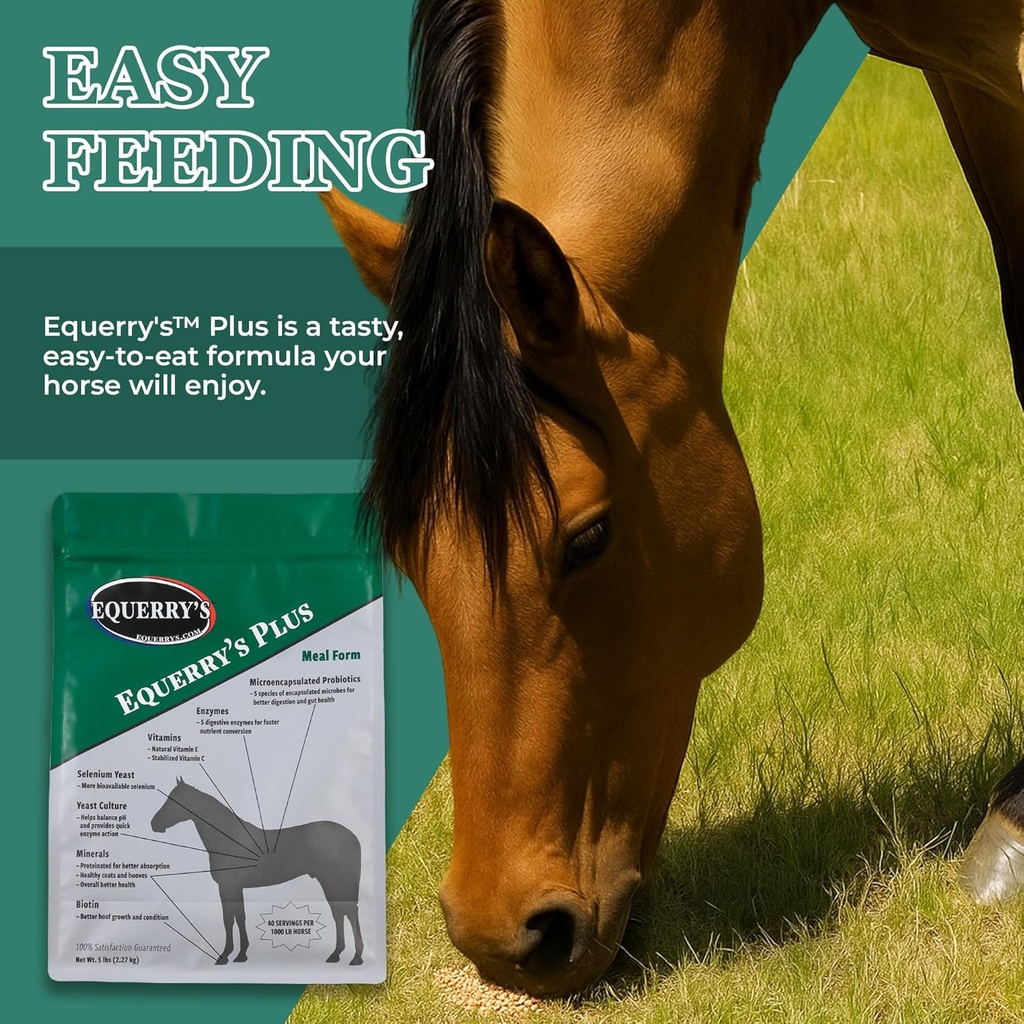 equerrys-plus-horse-supplement---enhance-5.jpg