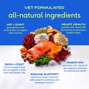 native-pet-dog-vitamins-supplements---11-3.jpg